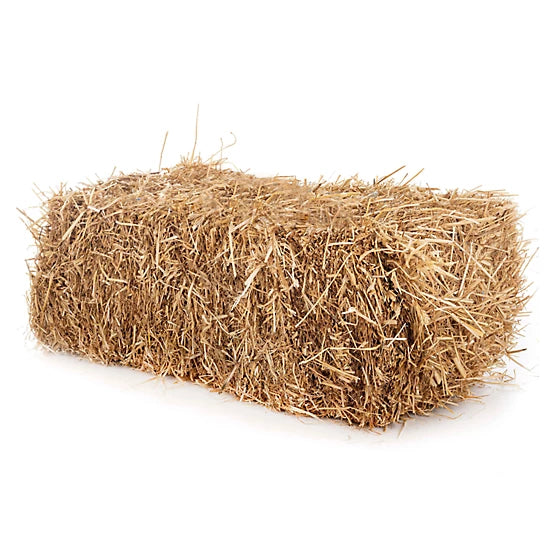 Straw