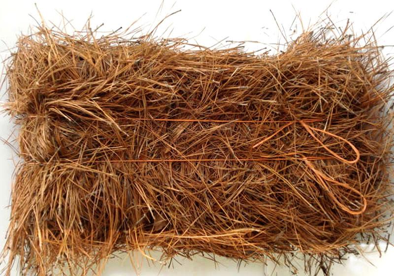 Pine Straw