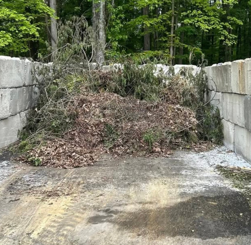Yard Waste Dumping